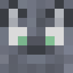 Cinderp: My very Derpy cat. - Male Minecraft Skins - image 3