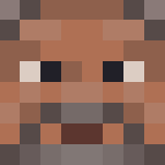 Old Man of the Sparrows [Contest] - Male Minecraft Skins - image 3