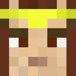 elrond - Male Minecraft Skins - image 3