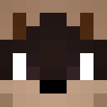 Raccoon Furry Skin - Interchangeable Minecraft Skins - image 3