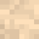 Template - Interchangeable Minecraft Skins - image 3