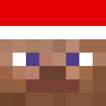 elf Steve - Male Minecraft Skins - image 3