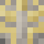 Lord Saladin | Destiny - Male Minecraft Skins - image 3