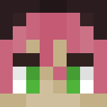 Pippi! - Female Minecraft Skins - image 3