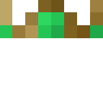 King with green Cape - Male Minecraft Skins - image 3