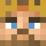 King skin - Male Minecraft Skins - image 3