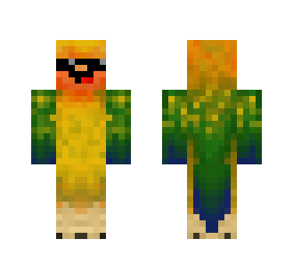 COOL DERP PARROT - Male Minecraft Skins - image 2