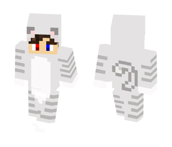 Boy WIth A Cat Costume - Boy Minecraft Skins - image 1