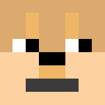 DOGE - Interchangeable Minecraft Skins - image 3
