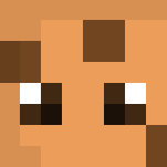 COOKIE!!!!!!! - Interchangeable Minecraft Skins - image 3