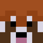 Red Panda - Interchangeable Minecraft Skins - image 3