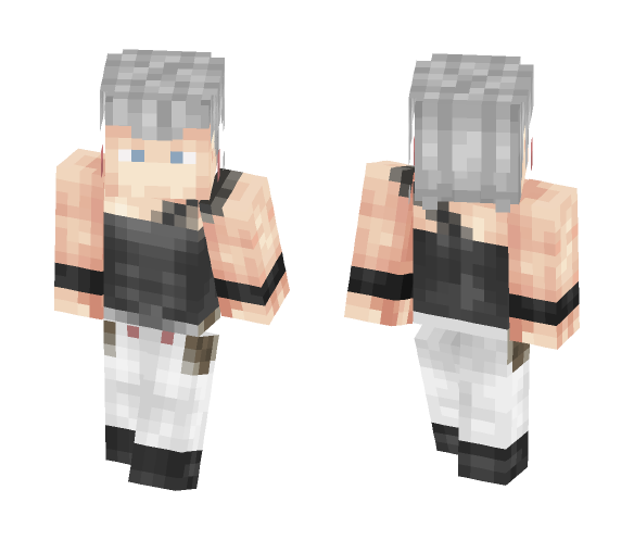 Download Jean Pierre Polnareff Jojo S Bizarre Adventure Minecraft Skin For Free Superminecraftskins